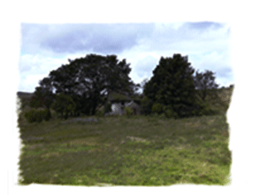 Delapidated cottage by the Whistle Inn